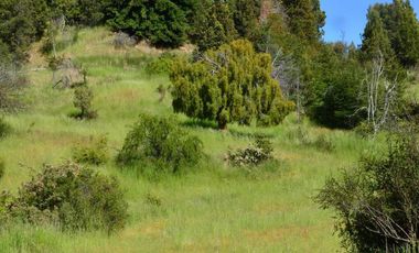 Chacra - Trevelin