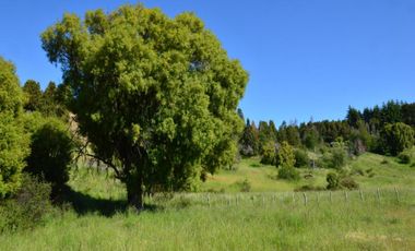 Chacra - Trevelin