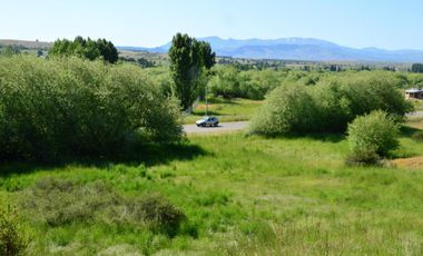 Chacra - Trevelin