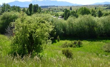 Chacra - Trevelin