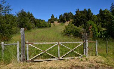 Chacra - Trevelin