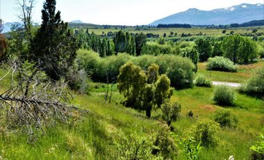 Chacra - Trevelin