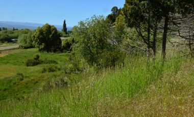 Chacra - Trevelin