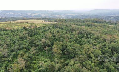 Chacra en Venta de 25ha en Olegario Victor Andrade