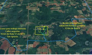 Se vende 60 ha con Pino y Arroyo Misiones.