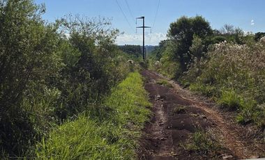 Se vende 60 ha con Pino y Arroyo Misiones.