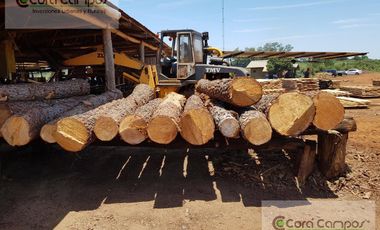 Se vende Aserradero Funcionando. En Apósteles. Misiones