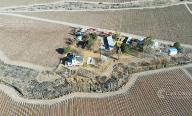 Se vende Finca en  Valle de Uco Mendoza. 300 ha de Viñedo en Producción Unicas. Lo mejor