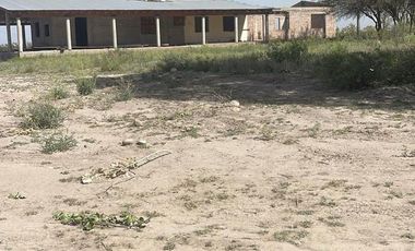 Se Vende Finca de 170ha con Plantaciones de Ajo en San Carlos, Mendoza