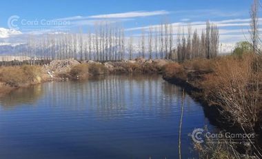 Se Vende Finca de 170ha con Plantaciones de Ajo en San Carlos, Mendoza