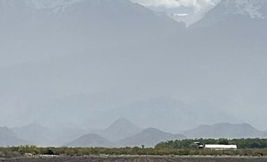 Se Vende Finca de 170ha con Plantaciones de Ajo en San Carlos, Mendoza
