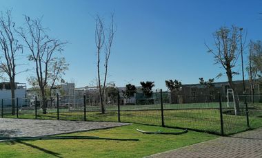 Bosques del Dorado  casa en RENTA 3 recámaras, sala de tv, roof garden!!!