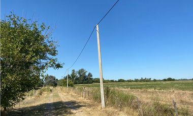 2 Parcelas agricolas de 5 has c/u en Venta, cercania ruta 6