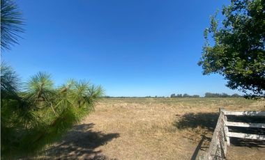 2 Parcelas agricolas de 5 has c/u en Venta, cercania ruta 6