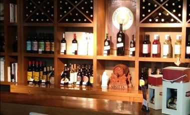 FINCA Y BODEGA A LA VENTA EN MENDOZA