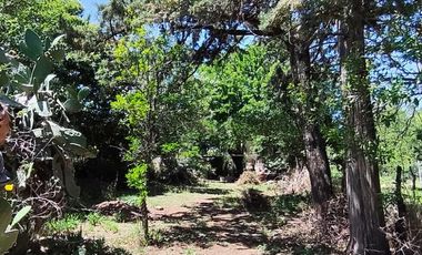 Casa en La Granja