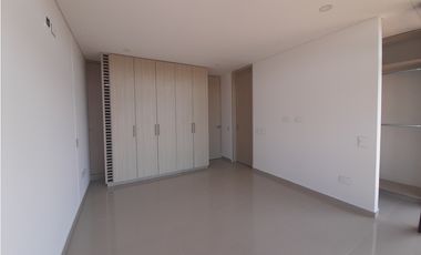 A503 Palos de Caña