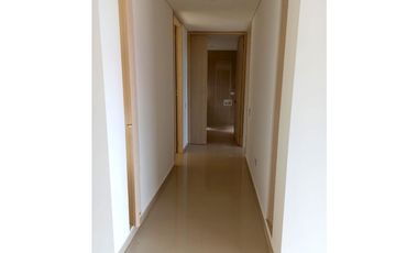 A503 Palos de Caña