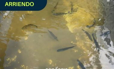 finca en arriendo en el Retiro- Puente Pelaez