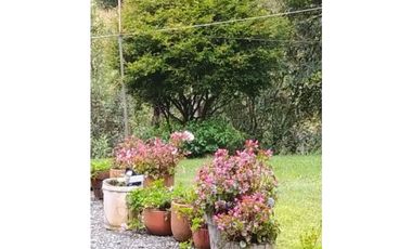 FINCA EN VENTA EN SANTA ELENA VIA MAZO