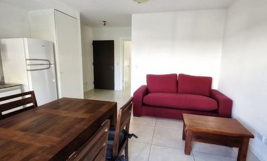 ALQUILER dos ambientes con jardín propio