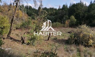 Agrícola en Venta en Cuarenta minutos de san rosendo