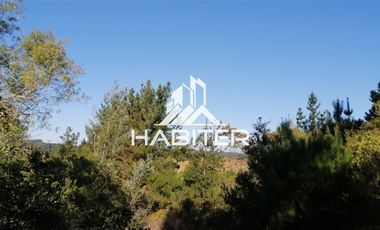 Agrícola en Venta en Cuarenta minutos de san rosendo