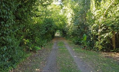 VENTA CASA QUINTA 75.000 M2 IDEAL P/DESARROLLO