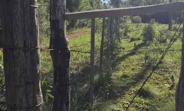 Chacra de 34 ha con alambrado y arroyo. Ganadera.