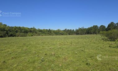 Chacra de 34 ha con alambrado y arroyo. Ganadera.