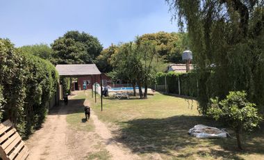 Casa - Glew
