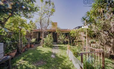 Casa en planta baja lote  8.66 x 41  garage  quincho terrazas Jardín fondo arbolado