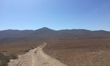 OPORTUNIDAD VENTA TERRENO AL NORTE DE VALLENAR - 15 HCTAS