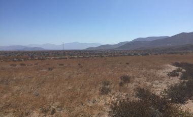 OPORTUNIDAD VENTA TERRENO AL NORTE DE VALLENAR - 15 HCTAS