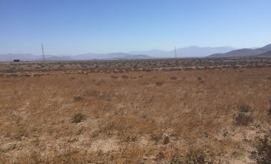 OPORTUNIDAD VENTA TERRENO AL NORTE DE VALLENAR - 15 HCTAS