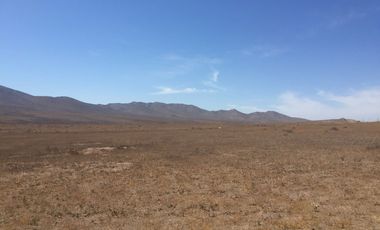 OPORTUNIDAD VENTA TERRENO AL NORTE DE VALLENAR - 15 HCTAS