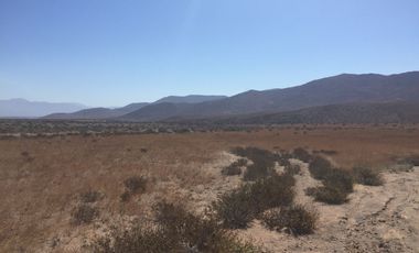 OPORTUNIDAD VENTA TERRENO AL NORTE DE VALLENAR - 15 HCTAS