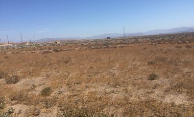 OPORTUNIDAD VENTA TERRENO AL NORTE DE VALLENAR - 15 HCTAS
