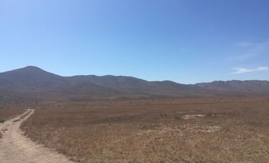 OPORTUNIDAD VENTA TERRENO AL NORTE DE VALLENAR - 15 HCTAS