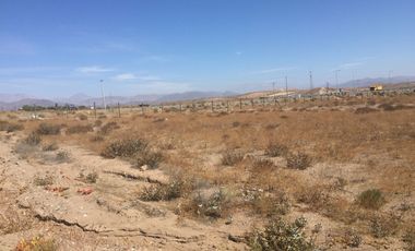OPORTUNIDAD VENTA TERRENO AL NORTE DE VALLENAR - 15 HCTAS