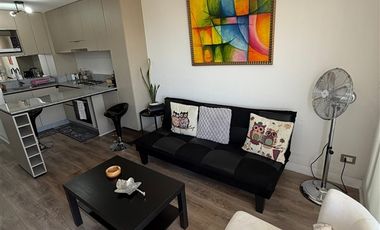 Departamento en Arriendo en MIRADOR AZUL CON VICUÑA MACKENNA