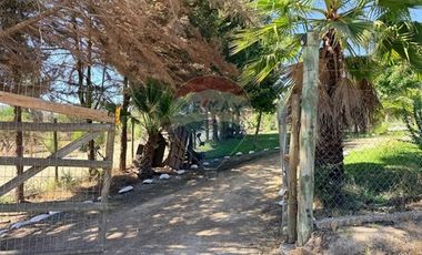 Arriendo Parcela en El Sauce, San Pedro Melipilla