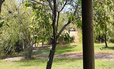Arriendo Parcela en El Sauce, San Pedro Melipilla