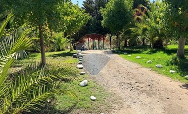 Arriendo Parcela en El Sauce, San Pedro Melipilla