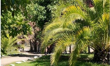 Arriendo Parcela en El Sauce, San Pedro Melipilla