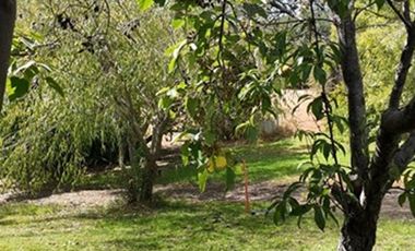 Arriendo Parcela en El Sauce, San Pedro Melipilla