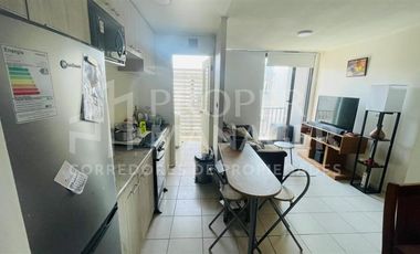 Departamento en Arriendo en Depto 3D-1B 54 m2 Semi Amoblado con Estac. – Arboleda Lantaño, Chillán