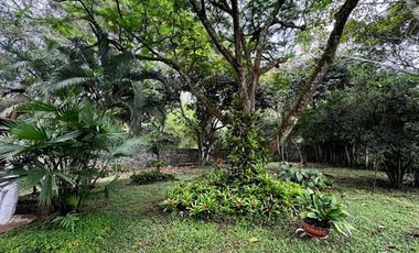 ARRIENDO de FINCAS en RIVERA