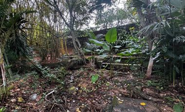 ARRIENDO de FINCAS en RIVERA