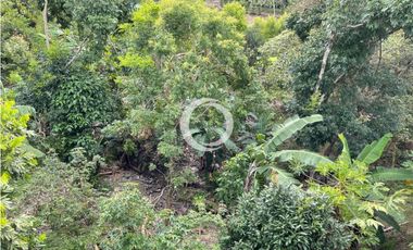 SE VENDE FINCA DE RECREO EN TABLONES PALMIRA VALLE